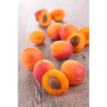 Organic Dry Apricots